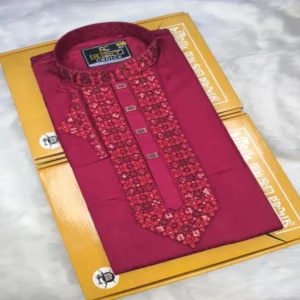 Sequence Embroidery Panjabi